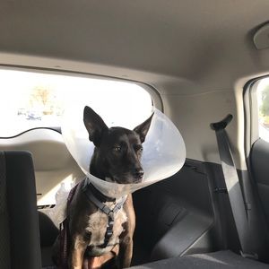 Meet your Posher, Lindsey